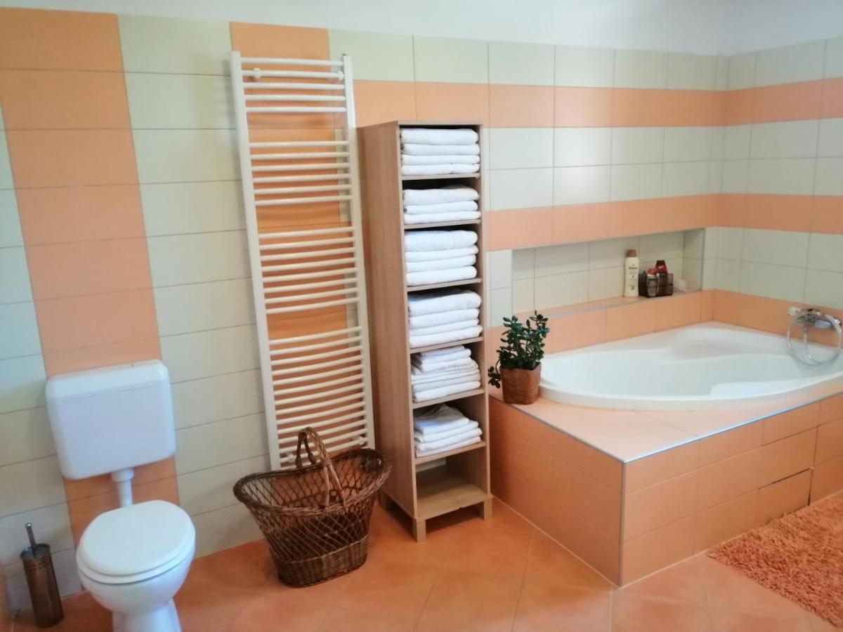 Vizaknai Apartmanhaz Székesfehérvár Exteriör bild