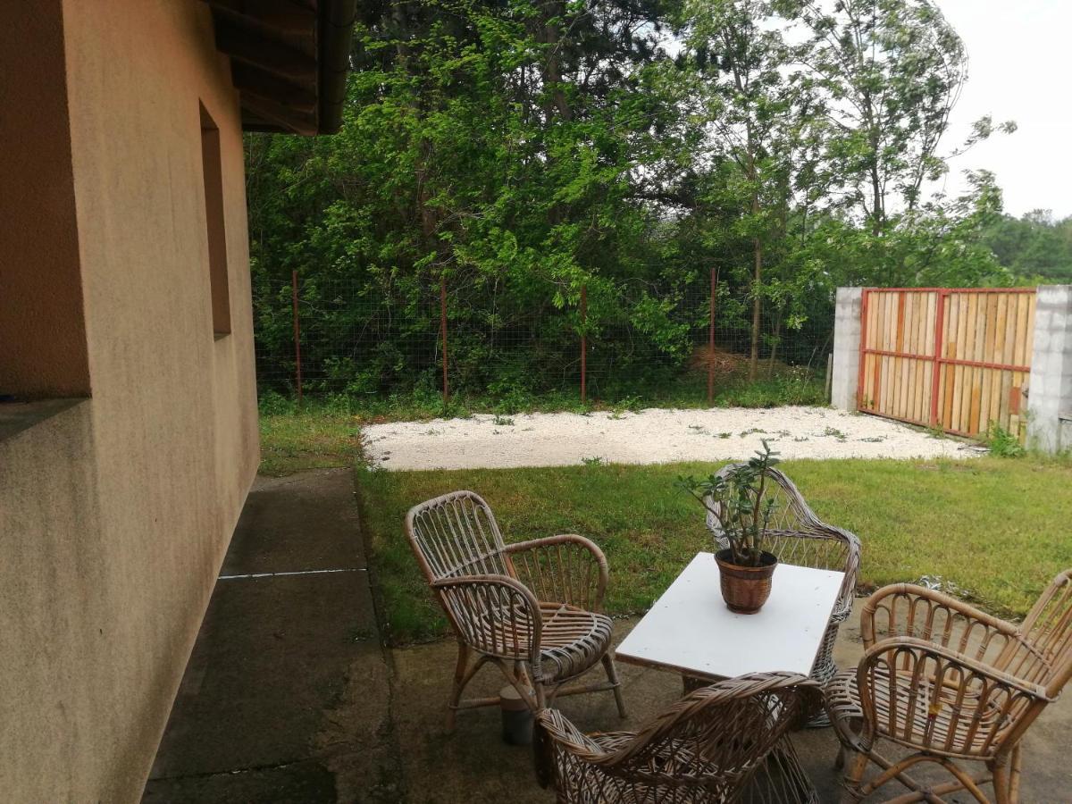 Vizaknai Apartmanhaz Székesfehérvár Exteriör bild